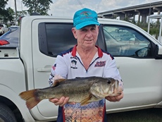 Big Fish